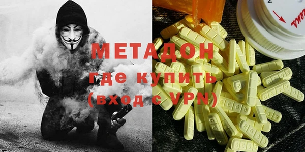 ПСИЛОЦИБИНОВЫЕ ГРИБЫ Вяземский