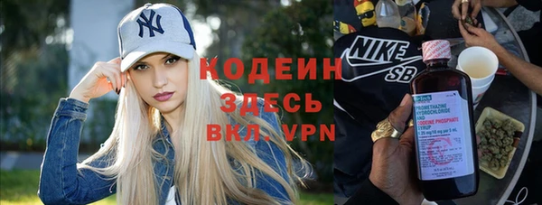 ПСИЛОЦИБИНОВЫЕ ГРИБЫ Вяземский
